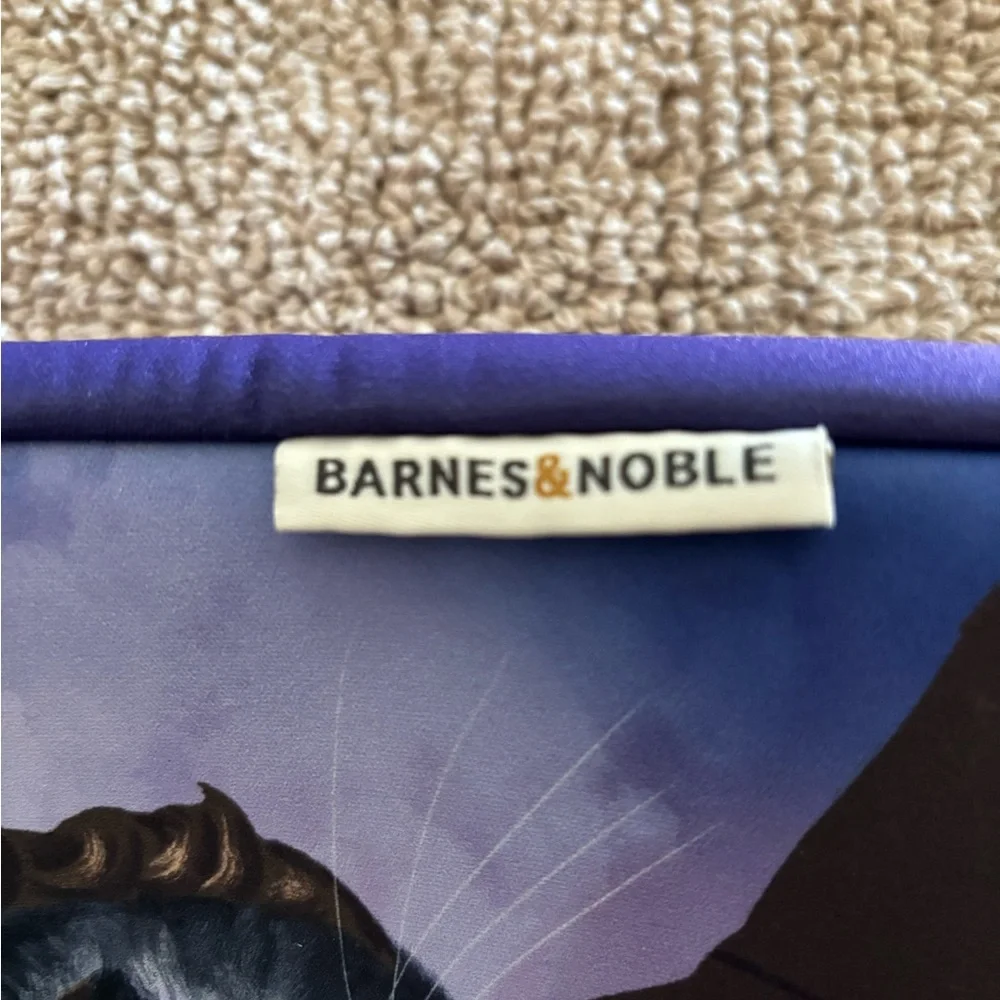 Barnes & Noble Edgar Allan Poe Purple Tablet Sleeve with Yellow Accent